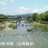 近隣画像